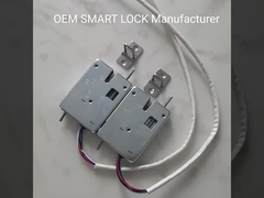 ব্যাটারি শেয়ার্ড লকারের জন্য OEM DC 24V বৈদ্যুতিক সোলেনয়েড লক অ্যান্টি প্রাই